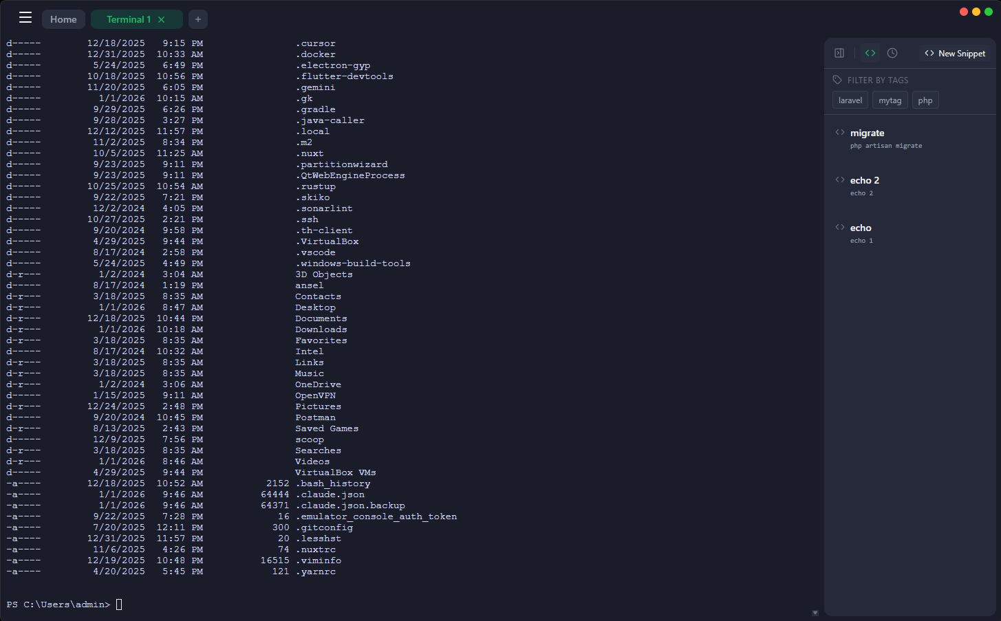 Terminal interface with multiple tabs